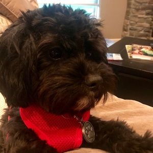 Meet your Posher, Jana